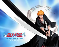 bleach 2